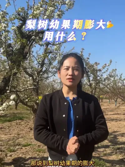 幼果期的膨大如何做工作？今天来聊聊#来抖音学农技 #梨树 #果树管理 #膨大 #抖音助农