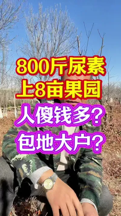 #促花保果 #促花肥 #保花保果 #分享农业知识帮农民增产增收 #抖音助农