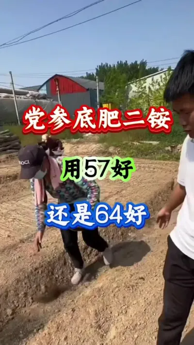 党参种植 党参底肥二铵用57好还是64好 #党参种植 #党参高产 #党参管理