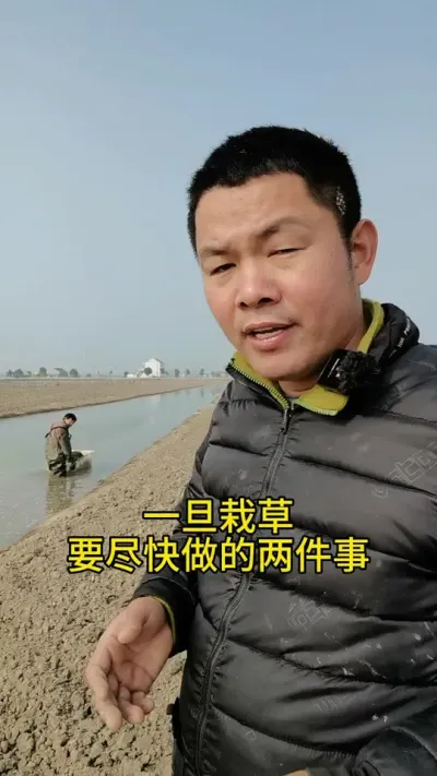 载好水草必做的两件事 #河蟹养殖 #养蟹发哥 #水产养殖