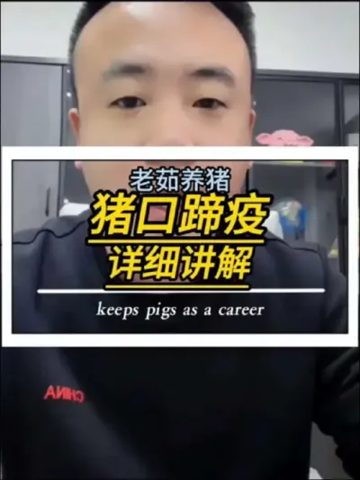 猪口蹄疫如何预防，什么症状，怎么治疗？一个视频讲清楚。#养猪#猪病防控 #养猪知识#创作灵感