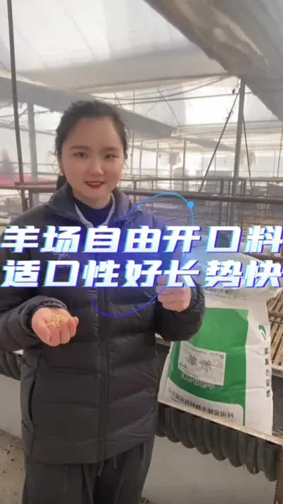 羔羊开口料#养羊知识 #养羊技术分享 #养羊技术 #农村养羊