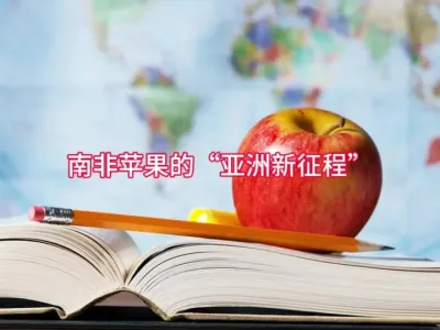 南非苹果的&ldquo;亚洲新征程&rdquo;#水果供应链 @云食界