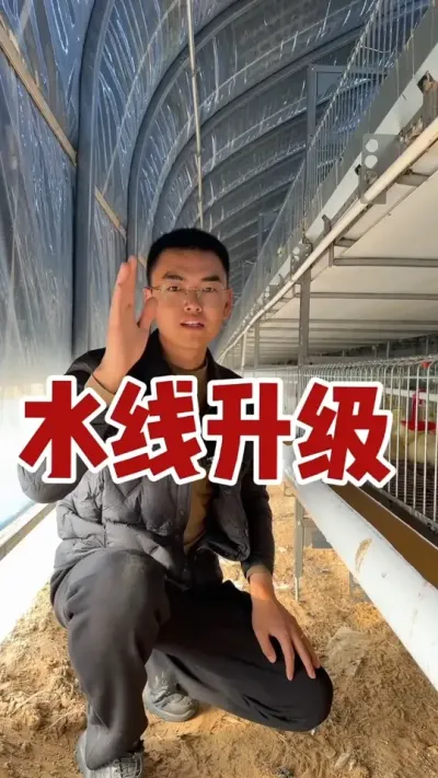养鹅是一个长期的过程，养鹅设备的日常维护和升级更是！设备好使，养鹅人才轻松，养出来的鹅才好啊！#我的养殖生活 #农村创业养殖 #养鹅技术找晓雨