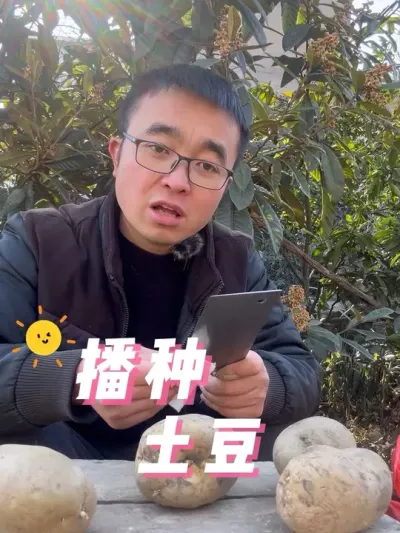 土豆怎么种？才能结的又多又好？#关注我一起学种菜 #种植小技巧 #我的小菜园 #我爱种菜 #种菜