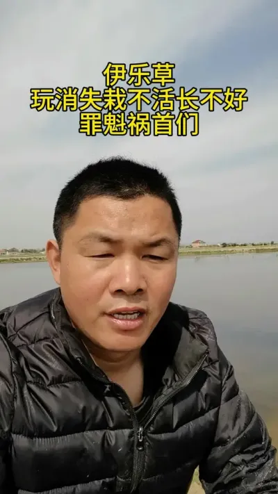 伊乐草玩消失栽不活长不好的罪魁祸首们 #水产养殖 #河蟹养殖