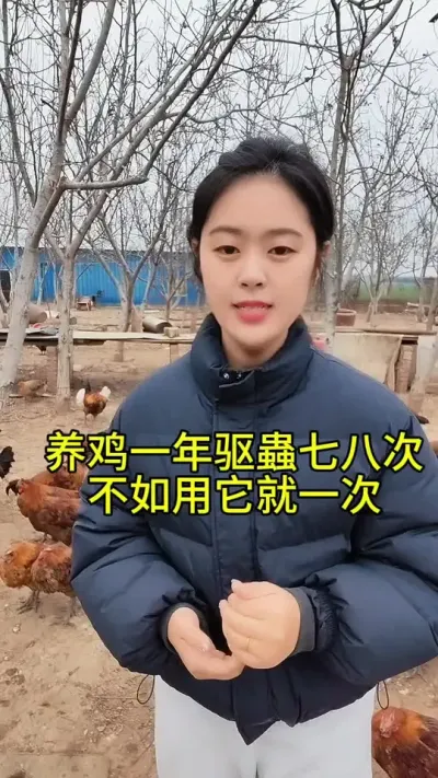 养鸡一年驱蟲七八次不如用它就一次#养殖小妙招 #家禽养殖 #服务三农支持三农 #养鸡 #新农人