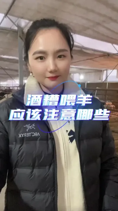酒糟喂羊应该注意些什么？#养羊知识 #养羊人 #羊价行情 #自繁自养 #农村创业养殖