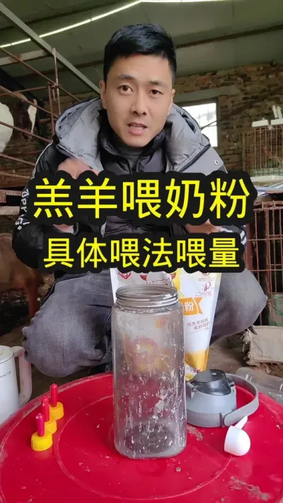 如何给羔羊喂奶粉#养羊 #农村养羊 #养羊技术分享 #养羊创业 #羔羊奶粉