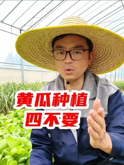 黄瓜种植&ldquo;四不要&rdquo; #黄瓜种植 #种黄瓜 #种植小技巧 #分享农业知识帮农民增产增收 #抖音助农
