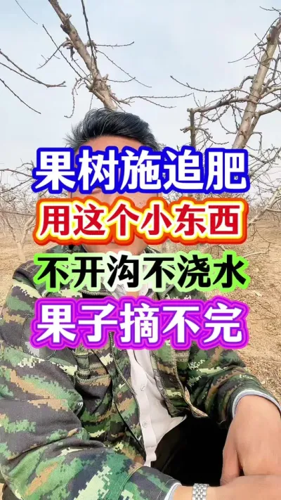#促花保果 #保花保果 #促花肥 #抖音助农 #分享农业知识帮农民增产增收