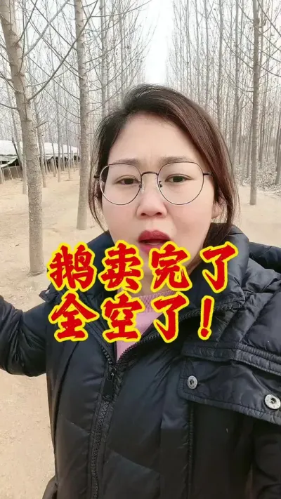 鹅卖完了，全都空了#养鹅技术分享 #科学养鹅 #养鹅 #鹅 #养鹅人