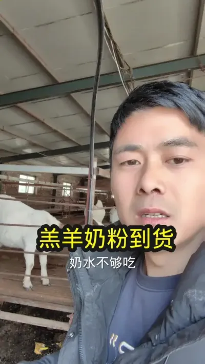 养殖户放心的羔羊奶粉，不满意直接退，有运费险#养羊 #农村养羊 #养羊技术分享 #羔羊奶粉 #羔羊养殖
