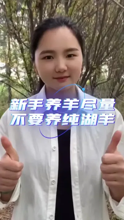 新手养羊尽量不要养湖羊#养羊技术分享 #羊价行情 #养羊知识 #自繁自养 #服务三农支持三农