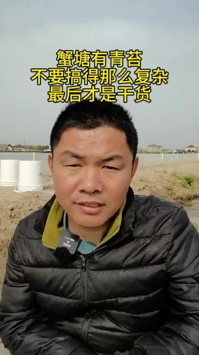 蟹塘有青苔，不要搞得那么复杂 #水产养殖 #河蟹养殖 #养蟹
