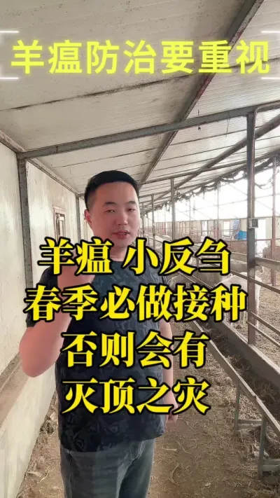 春季必做小反刍疫苗#羊小反刍 #羊瘟疫