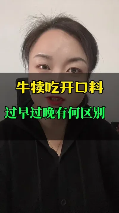 牛犊吃开口料，过早过晚有何区别#育肥牛 #全国养牛人 #自繁自养 #肉牛犊肉牛养殖场