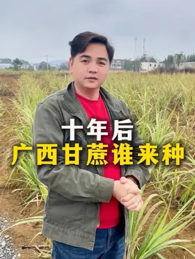 十年后，广西甘蔗谁来种#甘蔗#甘蔗种植#种植小技巧 #农业种植#三农