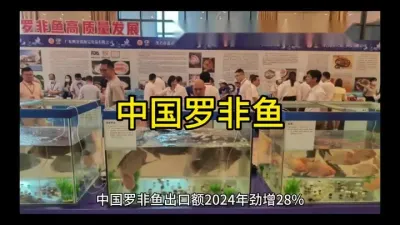 **中国罗非鱼出口额飙升：2024年达新高，科特迪瓦与欧盟引领市场增长**@云食界展贸服务平台
