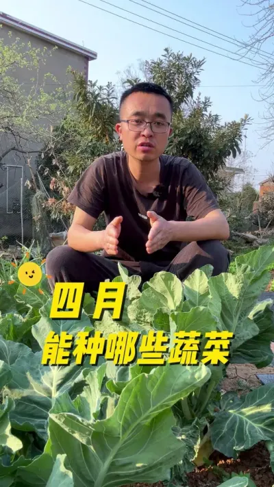 四月能种哪些蔬菜？#我的小菜园 #种植小技巧 #种植小技巧 #关注我一起学种菜 #在家种菜
