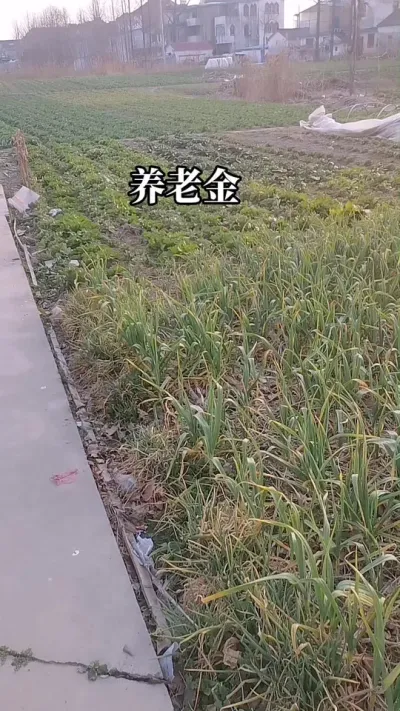 #养老金#全国老人#I一老了生活有保障卡