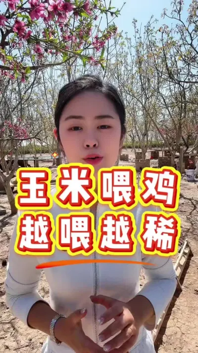 玉米喂鸡越喂越稀 #养鸡#科学养鸡#散养土鸡#养鸡妙招#鸡病防治