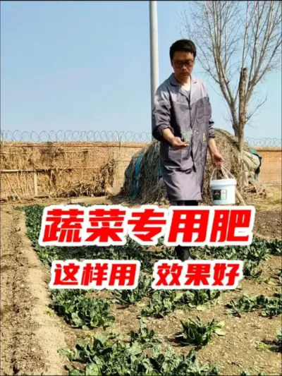 新型蔬菜专用肥，氮磷钾配比均衡，解决蔬菜黄叶不长个口感差等问题，价格便宜，有需要饿可以去试试 #蔬菜专用肥 #在家种菜 #种植小技巧 #蔬菜专用肥安全高效 #分享农业知识帮农民增产增收