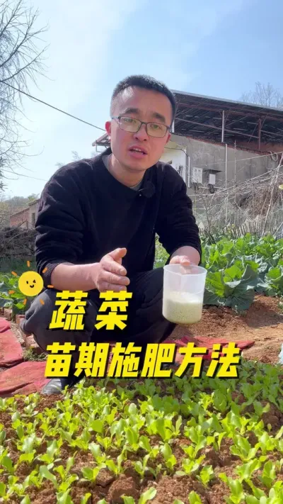 蔬菜苗期怎么正确施肥？小苗出苗后施肥过程？施肥方法#关注我一起学种菜 #每天分享蔬菜种植技巧 #种植小技巧 #田间地头就是我的舞台 #我的小菜园
