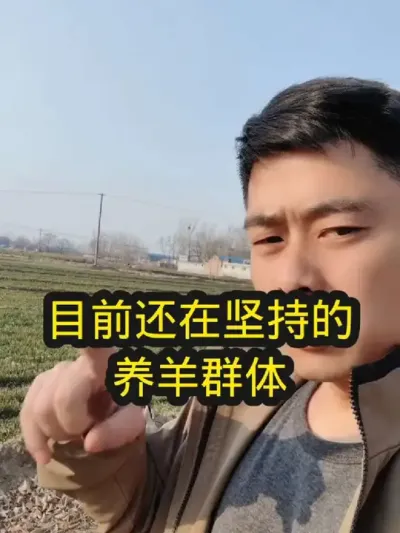 一个过来人真诚的忠告#养羊 #农村养羊 #养殖人的心酸 #养羊创业 #