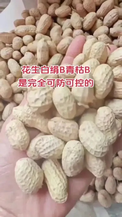 花生应该怎样管理，关注我详细讲解#抖音助农 #农业种植 #农业人 #花生 #心系三农服务三农