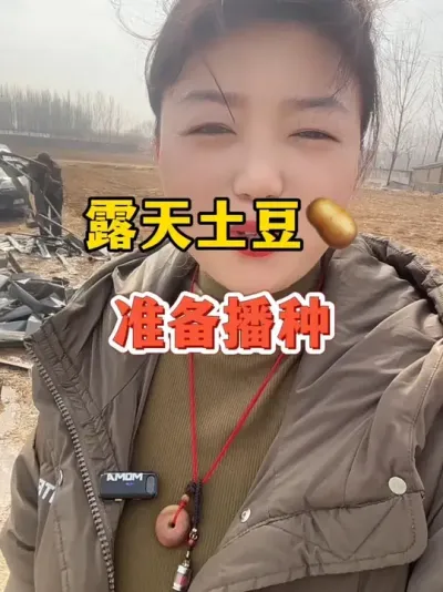 露天土豆开始播种了#土豆种植 #土豆 @抖音小助手