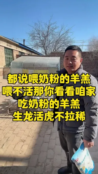 都说喂奶粉的羊羔子不行 那你看看咱家吃奶粉的羊羔子咋样#全脂羔羊奶粉 #羊羔没奶吃 #大母羊奶水少 #繁殖母羊