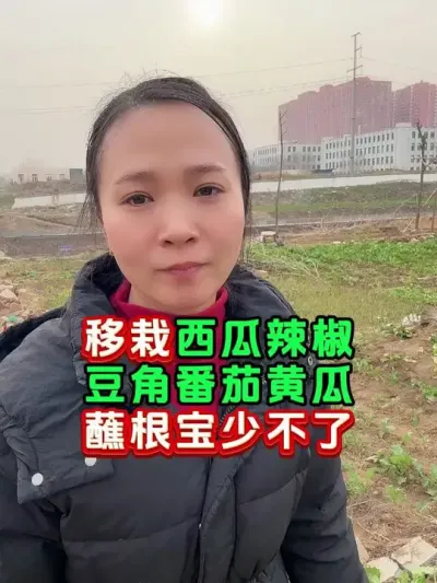 瓜果蔬菜移栽前，专用蘸根宝 瓜果蔬菜移栽定值前蘸根专用#蔬菜种植 #西瓜移栽 #蘸根