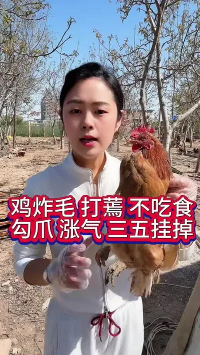 #科学养鸡 #鸡鸭鹅养殖 #服务三农支持三农 #抖音养鸡人 #绿色养鸡