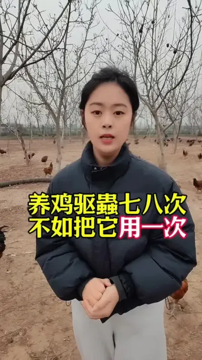 养鸡一年驱蟲七八次不如用它就一次#养鸡#鸡寄生虫#散养土鸡#养鸡妙招#科学养鸡