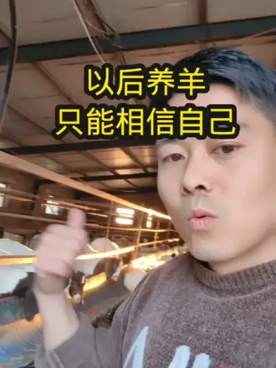 #养羊人 #农村养羊 #养羊技术分享 #养羊技术 #养羊创业