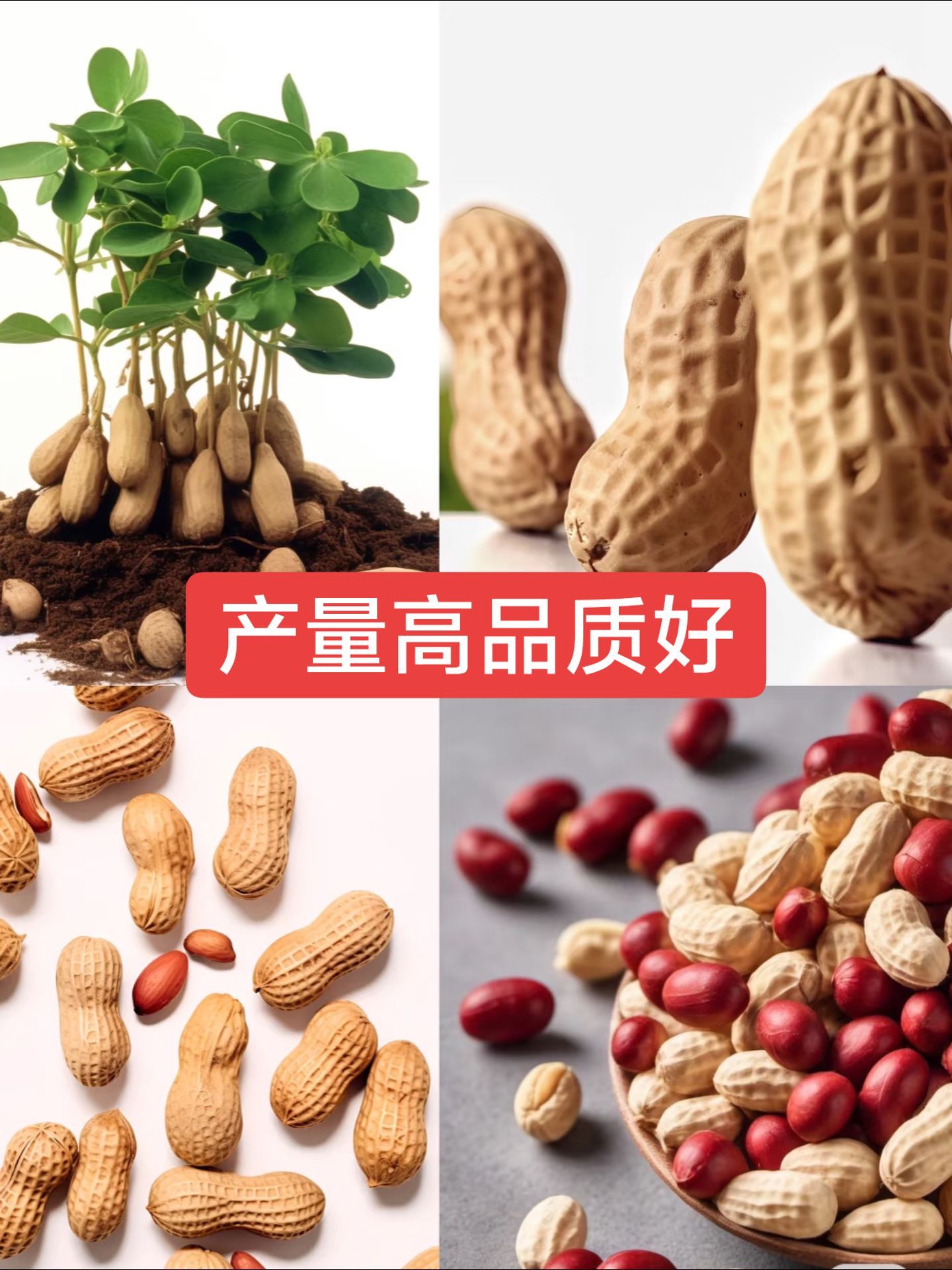 http://static.ixuenong.com/pxn/uploads/prod/thirdfile/2025/05/d0253310667d2d1d844e4fdf7a0d6ce9.jpg