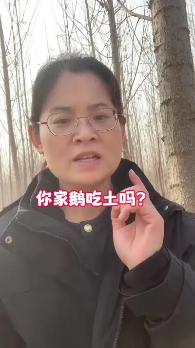 你家鹅吃土吗？#养鹅技术分享 #科学养鹅 #养鹅人 #三农