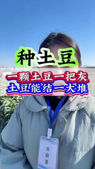 一颗土豆一把灰来年能结一大堆#土豆种植#土豆 #种土豆 #种植小技巧 #三农
