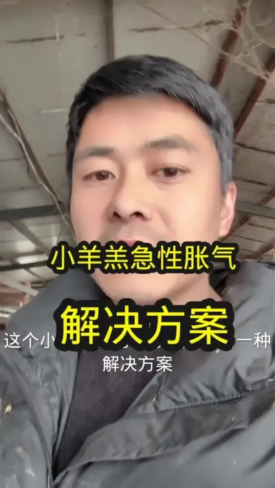 羊胀气解决方案分享#养羊技术分享 #农村养羊 #养羊技术 #养羊