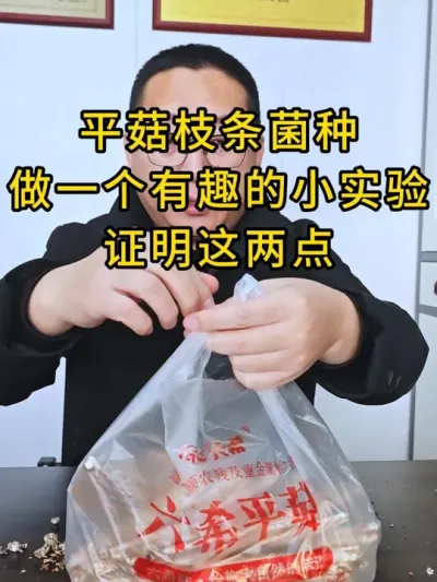 平菇枝条菌种做一个有趣的小实验，证明菌丝和氧气的重要性，一起看一看吧#平菇菌种 #食用菌栽培种 #栽培种