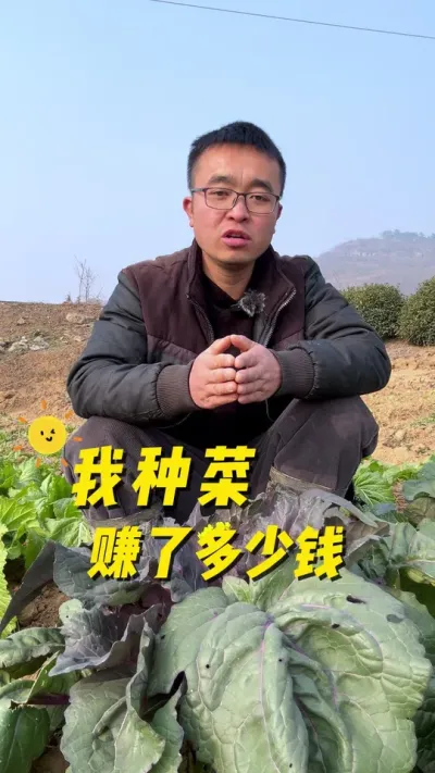 我种菜赚了多少钱？拍短视频能不能赚钱？#关注我一起学种菜 #种植小技巧 #记录我的种植生活 #田园生活 #一份耕耘一份收获