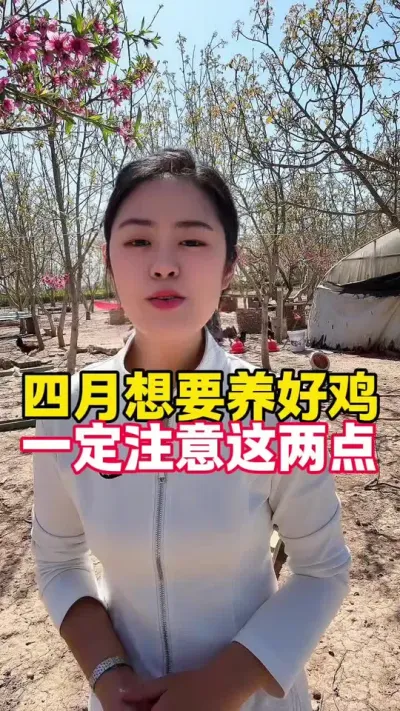 四月想要养好鸡一定注意这两点 #养鸡#养鸡妙招#科学养鸡#鸡病防治#散养土鸡