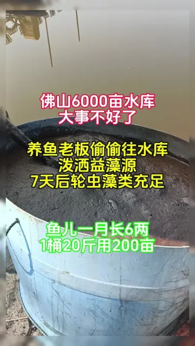 大水库肥水首选益藻源 #池塘肥水 #鱼虾蟹养殖 #鱼苗虾苗 @抖加🔥上热门🔥dou+🔥热点宝