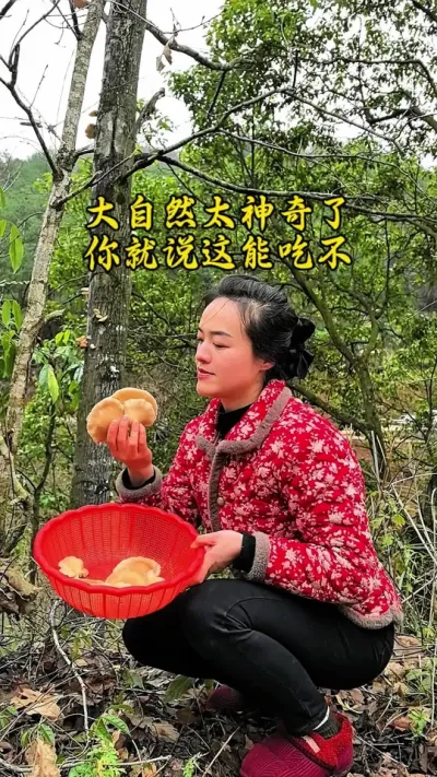 #创作灵感 #我的乡村生活 好神奇呀，这棵树上居然长了这么多蘑菇，就是不确定它是不是野生平菇哦，有哪位知道这个可以食用不？#学会认识蘑菇🍄是山里人的必备知识 #山上的野生蘑菇能吃吗 #野生平菇 @DO