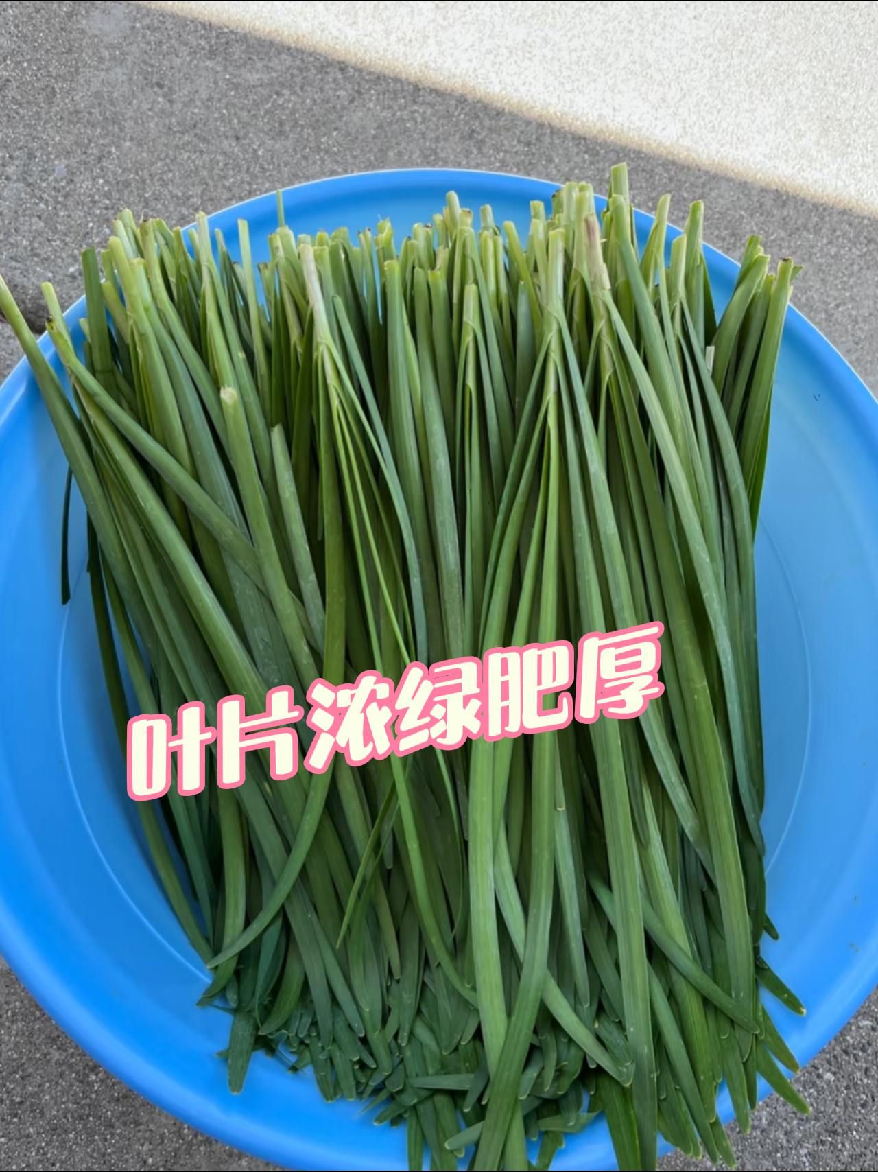 http://static.ixuenong.com/pxn/uploads/prod/thirdfile/2025/05/d34d44e0551763fb4448da9d5406a720.jpg