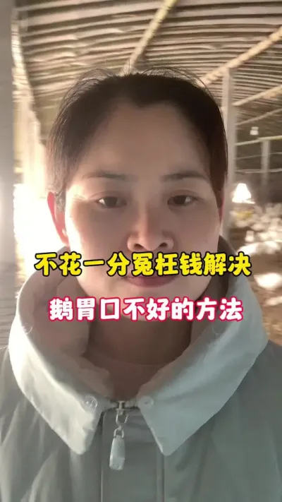 不花一分钱冤枉钱，解决鹅胃口不好。#养鹅技术分享 #养殖人加油 #三农 #科学养鹅 #养鹅人