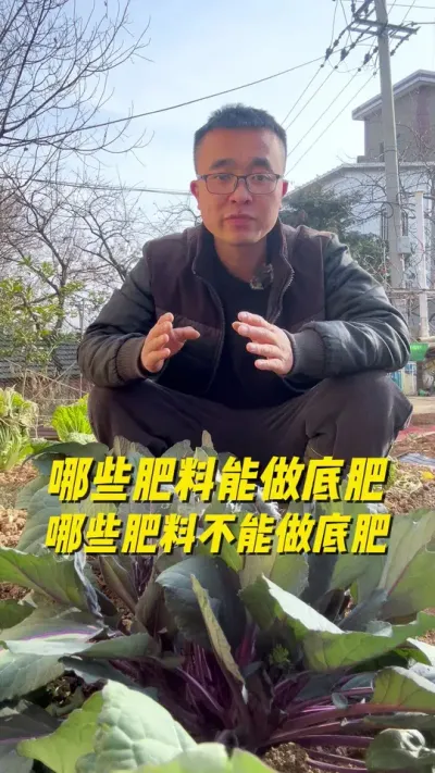 哪些肥料可以作底肥？哪些肥料不能作底肥？#种植小技巧 #关注我一起学种菜 #在家种菜 #三农