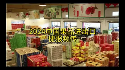 2024中国果品进出口捷报频传#水果供应链 @云食界