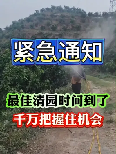 清园最佳时间到了，一定把握好机会#果树种植 #果树管理 #果园管理 #病虫害防治